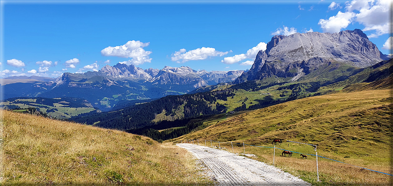 foto Rifugio Alpe di Tires